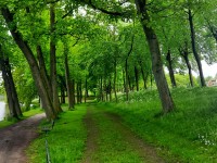 /album/winter-in-wervershoof-2020-21/elburg-01-jpg/